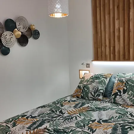 Appartement Cosy En Centre-ville De A 200m *
